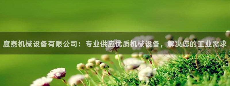 金年会手机版本网页登录：度泰机械设备有限公司：专业供应优质机械设备，解决您的工业需求