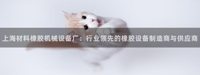 金年会体育官网是多少：上海材料橡胶机械设备厂：行业领先的橡胶设备制造商与供应商