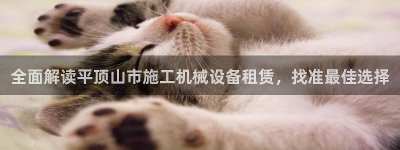金年会官网登入：全面解读平顶山市施工机械设备租赁，找准最佳选择