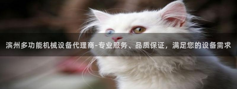 金年会体育网页登录：滨州多功能机械设备代理商-专业服务、品质保证，满足您的设备需求