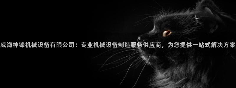 金年会官方体育频道直播：威海神锋机械设备有限公司：专业机械设备制造服务供应商，为您提供一站式解决方案