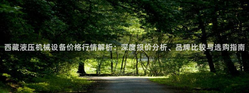 金年会官方入口网站：西藏液压机械设备价格行情解析：深度报价分析、品牌比较与选购指南