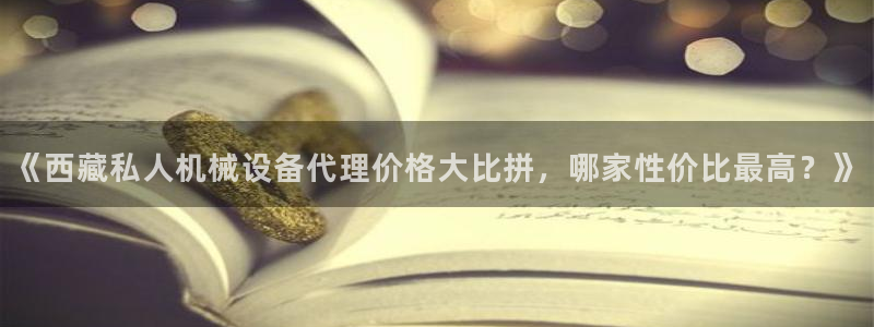 金年会官方入口网站下载：《西藏私人机械设备代理价格大比拼，哪家性价比最高？》