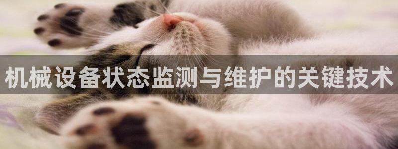 金年会网站入口：机械设备状态监测与维护的关键技术