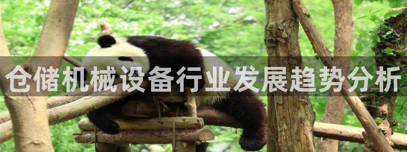 金年会VIP网页版在线登录入口：仓储机械设备行业发展趋势分析