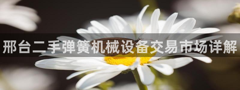 金年会金字招牌至上技术有限公司：邢台二手弹簧机械设备交易市场详解
