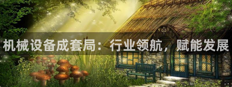 金年会官方平台官网：机械设备成套局：行业领航，赋能发展