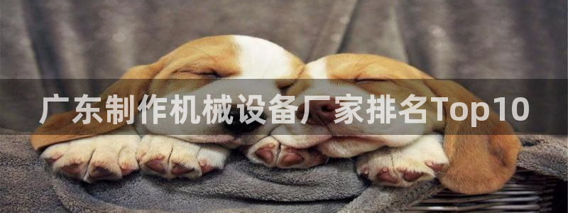 金年会体育客户端登录：广东制作机械设备厂家排名Top10