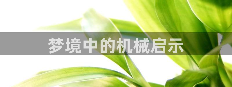 金年会官方：梦境中的机械启示
