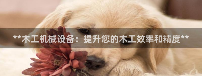 金年会官方app下载：**木工机械设备：提升您的木工效率和精度**