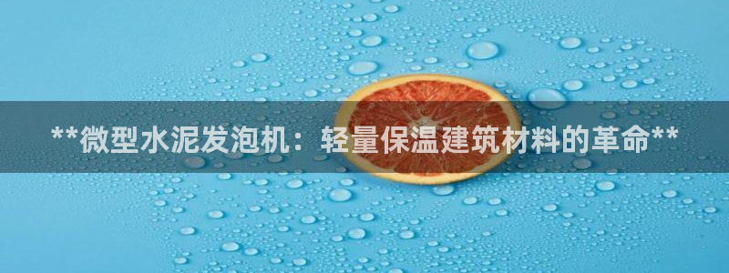 金年会平台官网下载：**微型水泥发泡机：轻量保温建筑材料的革命**
