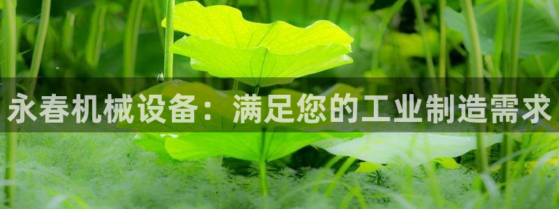 金年会体育app属于正规平台吗：永春机械设备：满足您的工业制造需求
