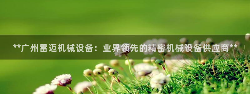 金年会金字招牌荣誉至上：**广州雷迈机械设备：业界领先的精密机械设备供应商**