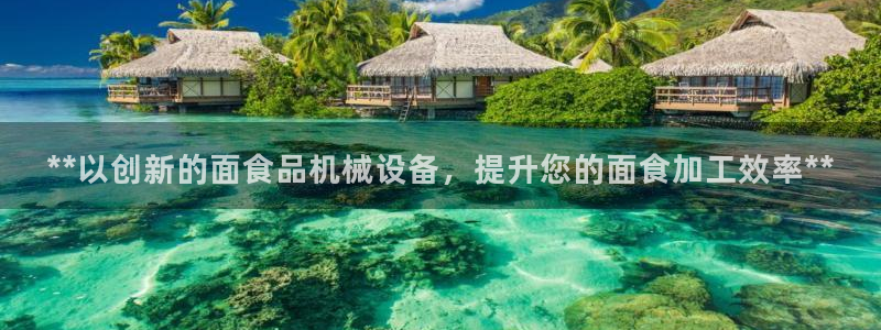 jinnianhui金年会下载：**以创新的面食品机械设备，提升您的面食加工效率**