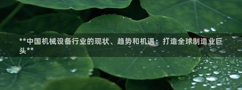 金年会vip打开网络异常怎么办：**中国机械设备行业的现状、趋势和机遇：打造全球制造业巨
头**