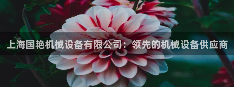 金年会官方在线入口网址是多少号：上海国艳机械设备有限公司：领先的机械设备供应商