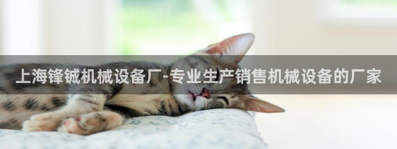 金年会电子官网：上海锋铖机械设备厂-专业生产销售机械设备的厂家