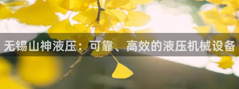 金年会电子游戏：无锡山神液压：可靠、高效的液压机械设备
