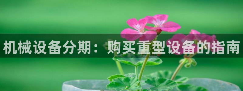 金年会赌博app平台可靠吗安全吗：机械设备分期：购买重型设备的指南