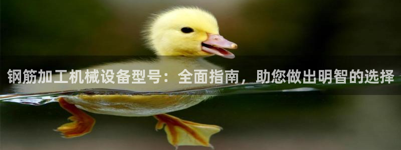 金年会体育登入入口：钢筋加工机械设备型号：全面指南，助您做出明智的选择