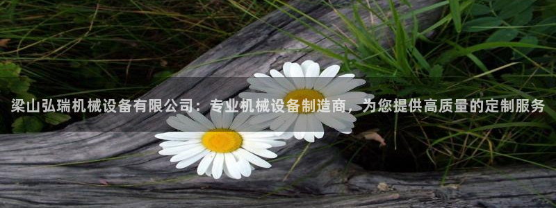 金年会官方网站入口v1.5.7：梁山弘瑞机械设备有限公司：专业机械设备制造商，为您提供高质量的定制服务