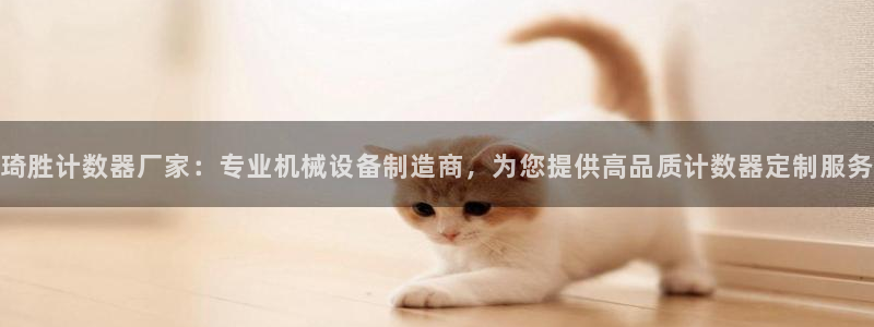 金年会-金字招牌信誉至上：琦胜计数器厂家：专业机械设备制造商，为您提供高品质计数器定制服务