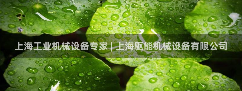 金年会官方网站入口v1.5.7：上海工业机械设备专家 | 上海驱能机械设备有限公司