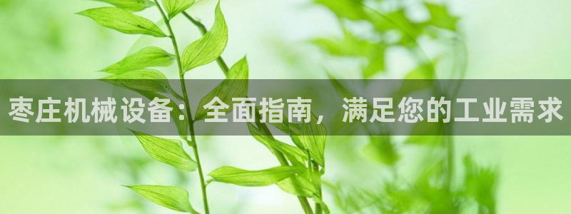 金年会体育官方微博：枣庄机械设备：全面指南，满足您的工业需求