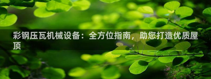 金年会手机版官方下载：彩钢压瓦机械设备：全方位指南，助您打造优质屋
顶