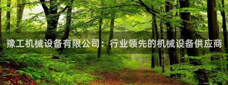 金年会金字招牌在线入口195：豫工机械设备有限公司：行业领先的机械设备供应商