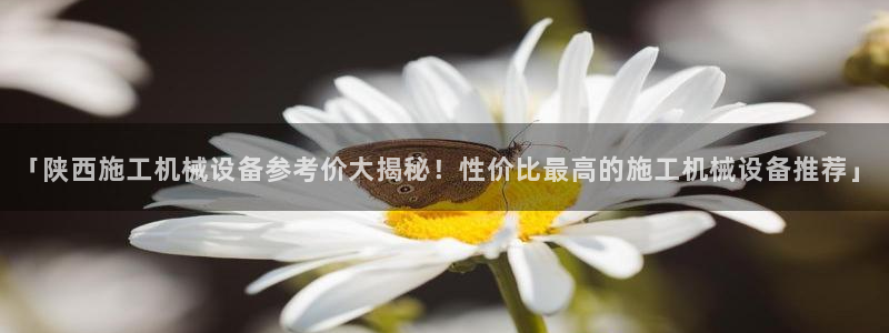 金年会平台官网登录：「陕西施工机械设备参考价大揭秘！性价比最高的施工机械设备推荐」