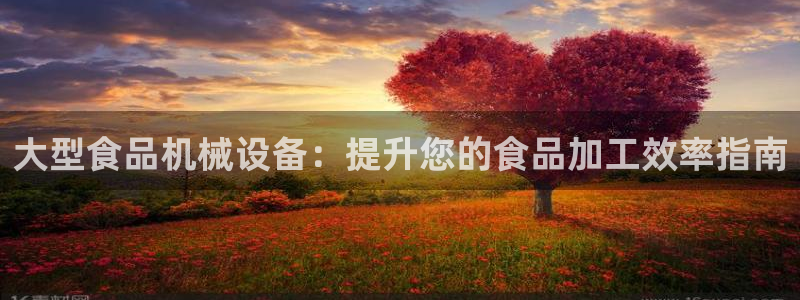 金年会官方在线登录网址是什么：大型食品机械设备：提升您的食品加工效率指南