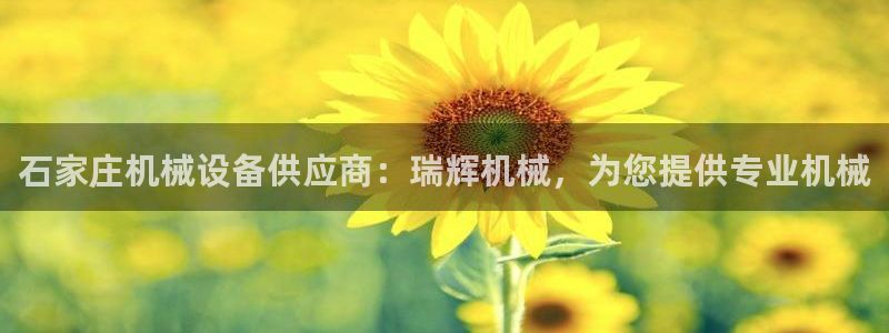 金年会App是不是钓鱼软件：石家庄机械设备供应商：瑞辉机械，为您提供专业机械