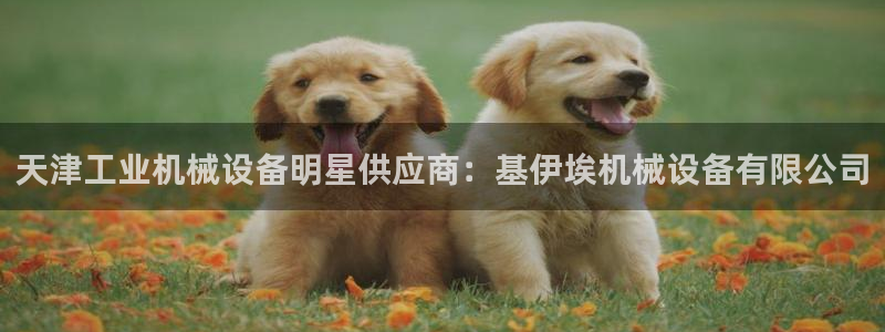 金年会体育平台是真的吗知乎：天津工业机械设备明星供应商：基伊埃机械设备有限公司