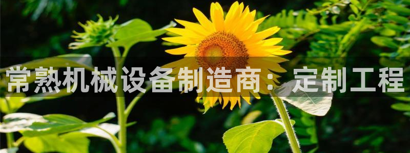 金年会官方网站入口登录网址：常熟机械设备制造商：定制工程