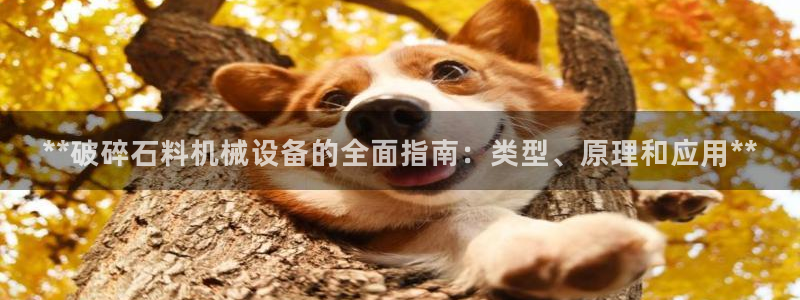 金年会金字招牌下载：**破碎石料机械设备的全面指南：类型、原理和应用**