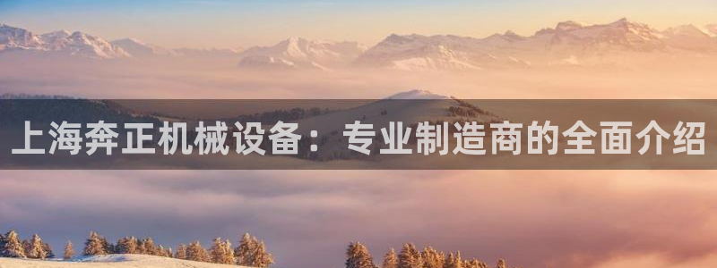 金年会金字招牌信誉至上：上海奔正机械设备：专业制造商的全面介绍