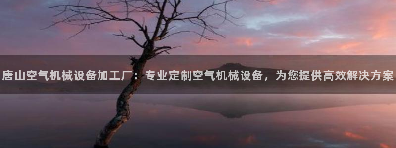 金年会平台怎么样：唐山空气机械设备加工厂：专业定制空气机械设备，为您提供高效解决方案