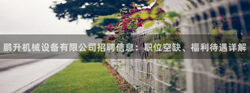 金年会app官方网站是什么：鹏升机械设备有限公司招聘信息：职位空缺、福利待遇详解