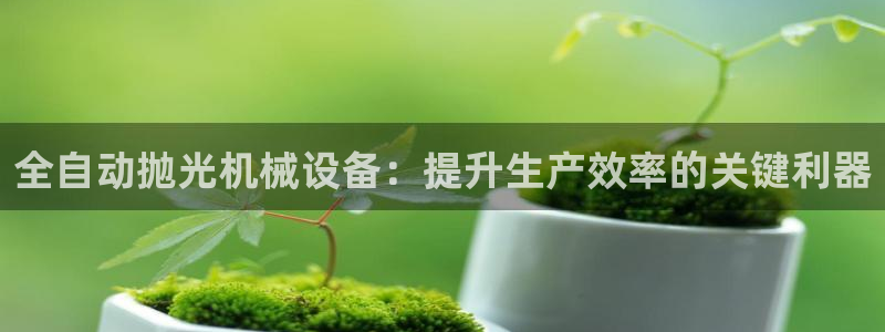 金年会体育官方：全自动抛光机械设备：提升生产效率的关键利器