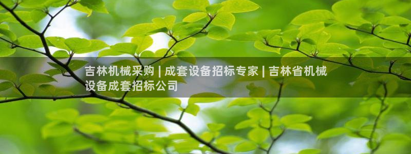 金年会电子游戏app官方入口网站：吉林机械采购 | 成套设备招标专家 | 吉林省机械
设备成套招标公司