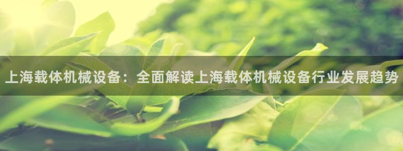 金年会赌博app平台可靠吗安全吗：上海载体机械设备：全面解读上海载体机械设备行业发展趋势