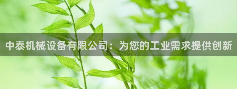 金年会官方网：中泰机械设备有限公司：为您的工业需求提供创新