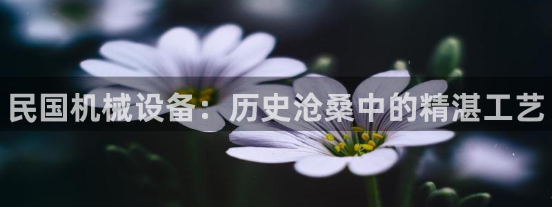 金年会体育app入口在哪：民国机械设备：历史沧桑中的精湛工艺