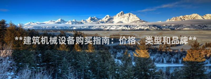 金年会网站不给提现怎么办?：**建筑机械设备购买指南：价格、类型和品牌**