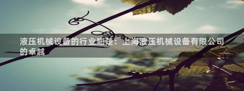 金年会金字招牌在线入口195：液压机械设备的行业翘楚：上海液压机械设备有限公司
的卓越